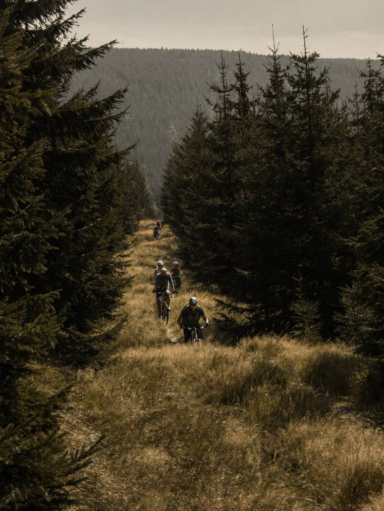 Cyklisté objevují lesní cesty Jizerských hor z výchozího místa u Horské chaty Smědava.