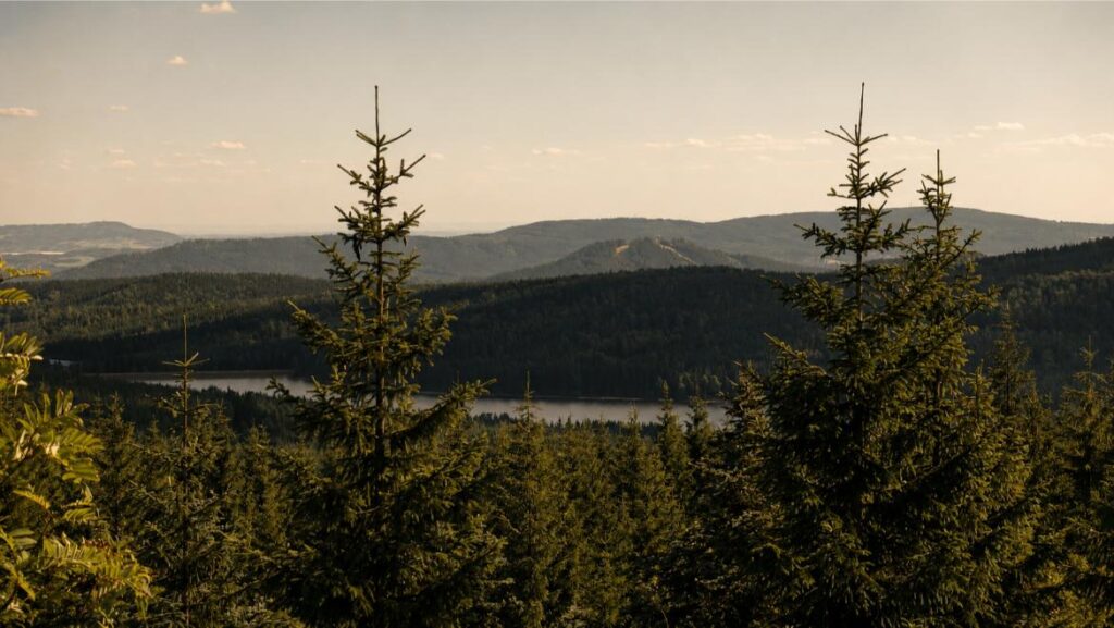 Panoramatický výhled na lesy a krajinu Jizerských hor v okolí Horské chaty Smědava.