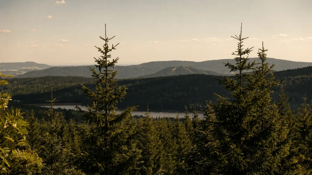 Panoramatický výhled na lesy a krajinu Jizerských hor v okolí Horské chaty Smědava.