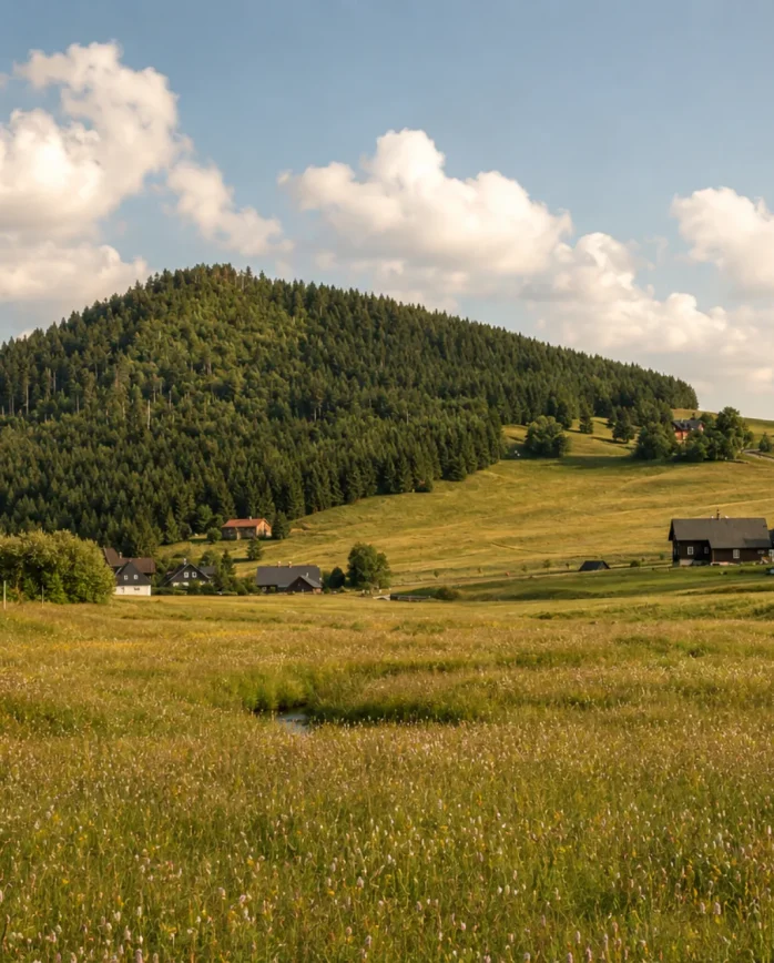 Rozkvetlé horské louky a tradiční chalupy na Jizerce obklopené lesy Jizerských hor.